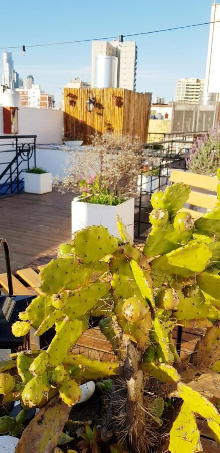 Telmho Hotel Boutique Buenos Aires Eksteriør bilde