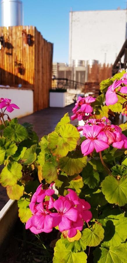 Telmho Hotel Boutique Buenos Aires Eksteriør bilde